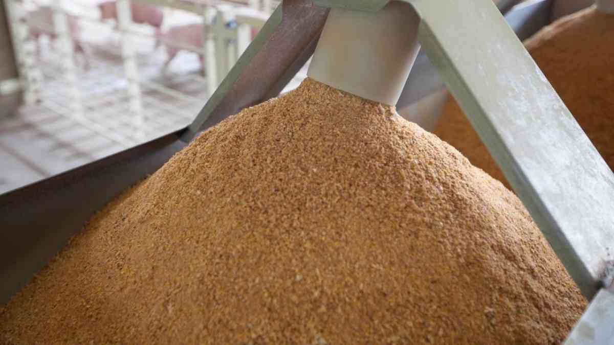 Қытайға 12,3 мың тонна жем тиелген контейнерлік пойыз жөнелтілді