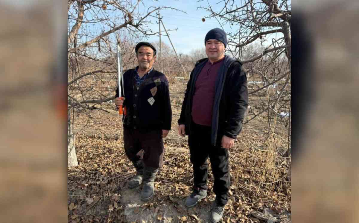 Еңбек адамы. Математика пәнінің мұғалімі отбасылық бағын дамытуда