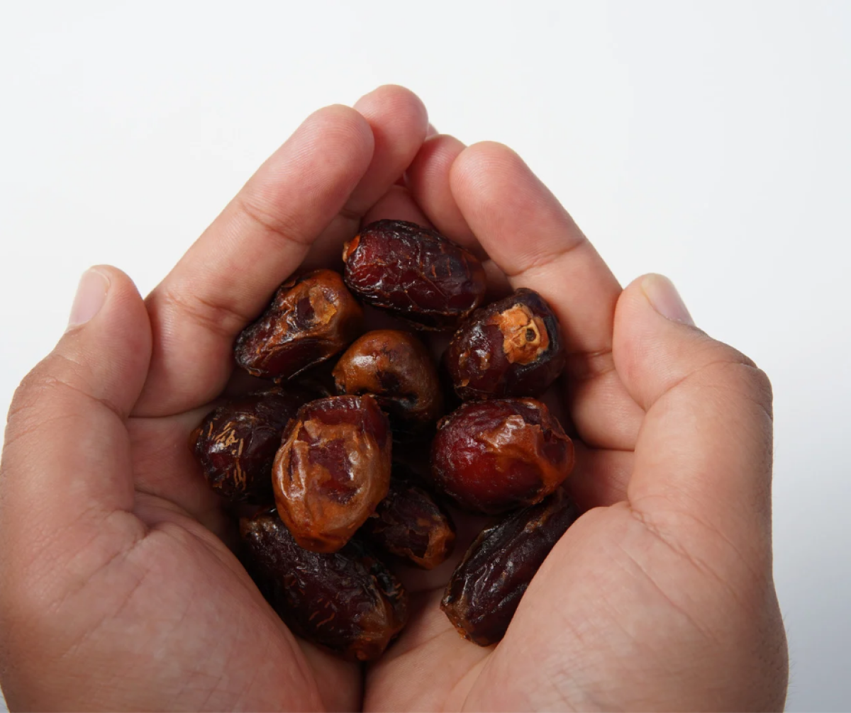 Елімізге келетін құрмалар қай елдерден импортталады