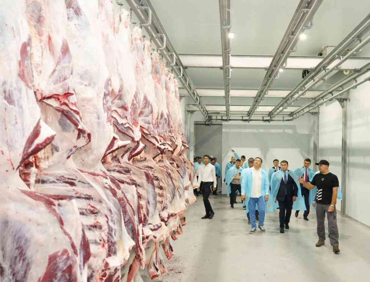 Министрлік сиыр еті экспортына қатысты ақпаратқа ресми түсініктеме берді