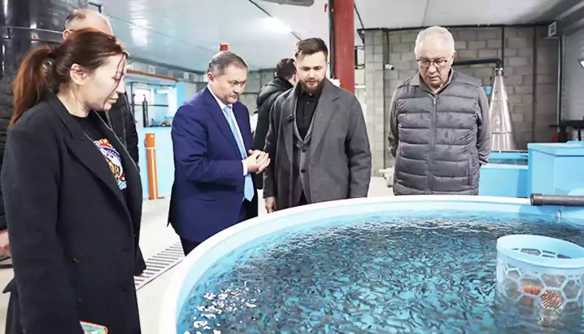 Саясат Нұрбек Тараздағы университеттің балық өсіру зауытында болды