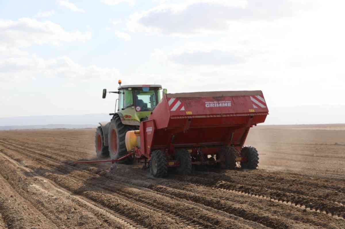 Биыл Жамбылда 623,3 мың гектарға ауыл шаруашылығы дақылдары егіледі