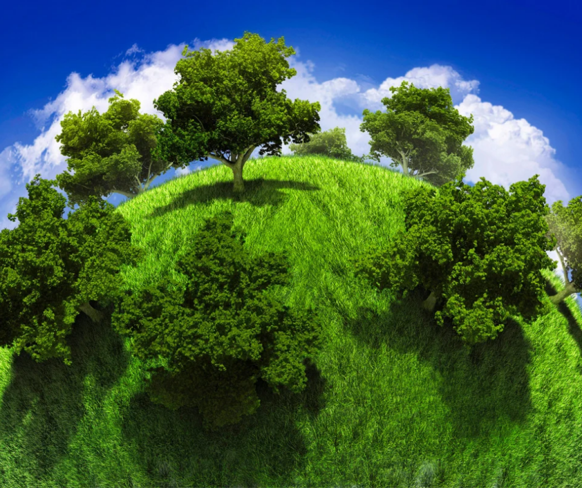 Алматы облысында 150 мың гектар жер мемлекет меншігіне қайтарылды