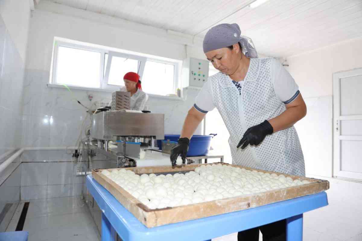 Жамбылда ауыл шаруашылығы өнімдерін қайта өңдеу саласында 2,5 мыңнан астам адам жұмыспен қамтылған