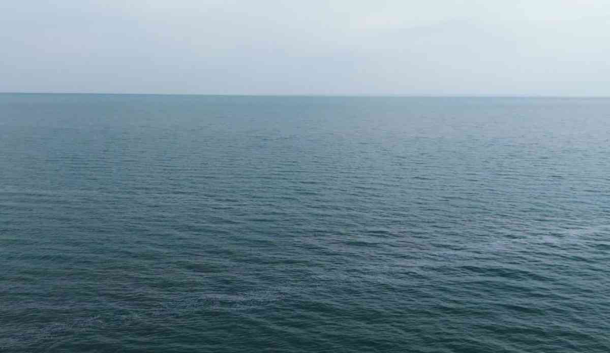 Солтүстік Арал теңізін сақтау жобасының екінші кезеңі әзірленді