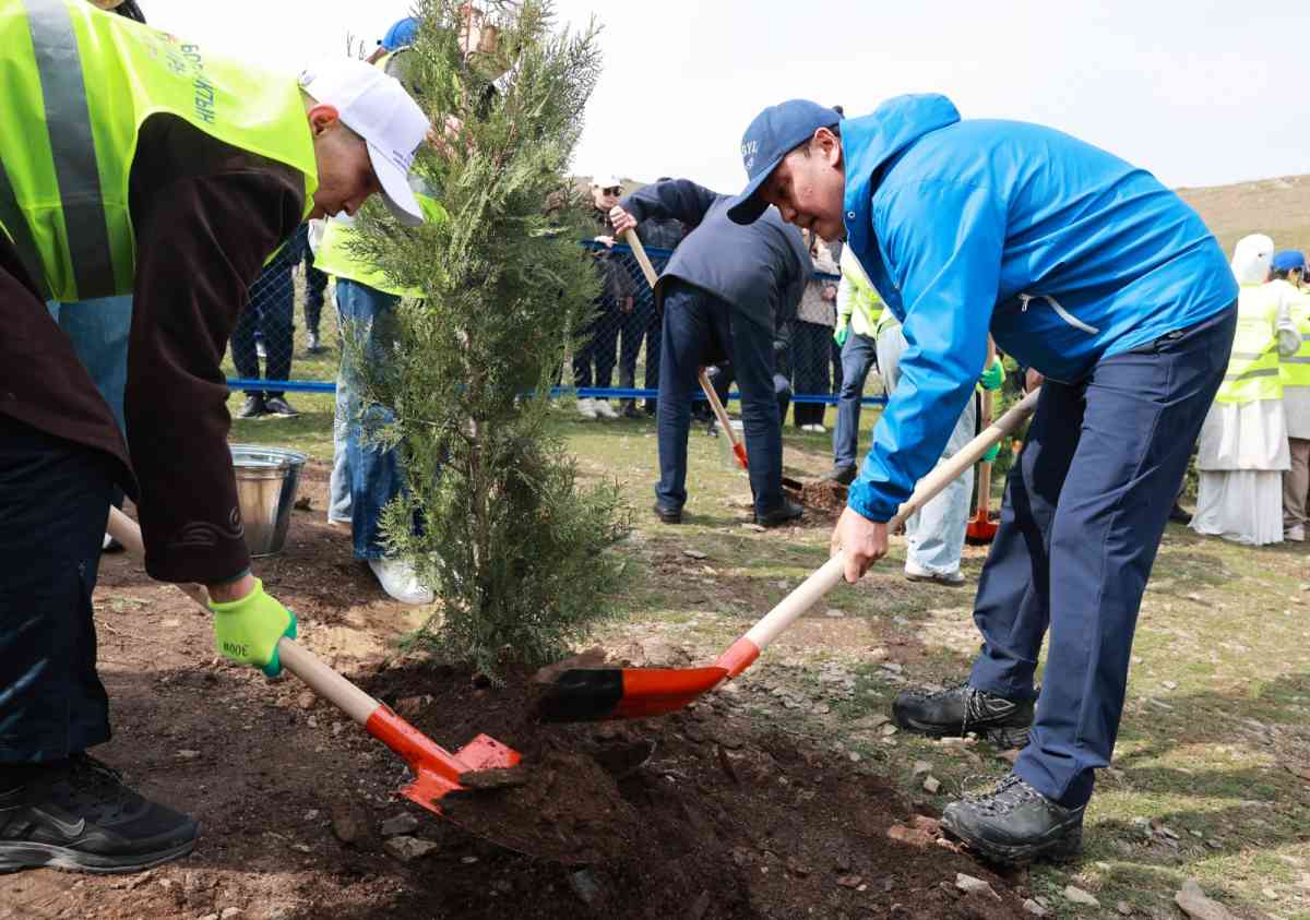 Жамбыл облысында «Мөлдір бұлақ» акциясы кең көлемде өтті