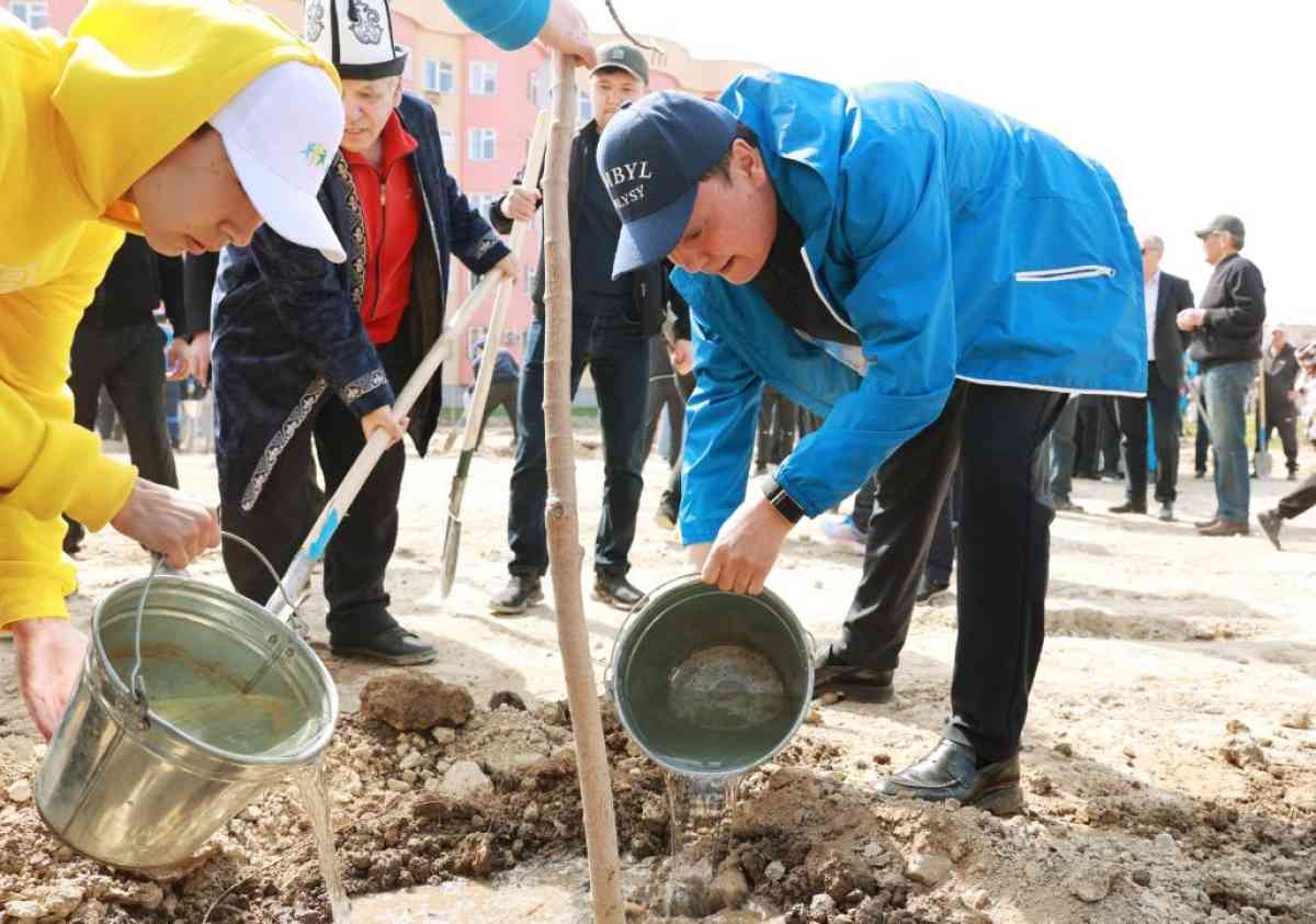 Жамбылда 9 мыңнан астам ағаш көшеті егілді