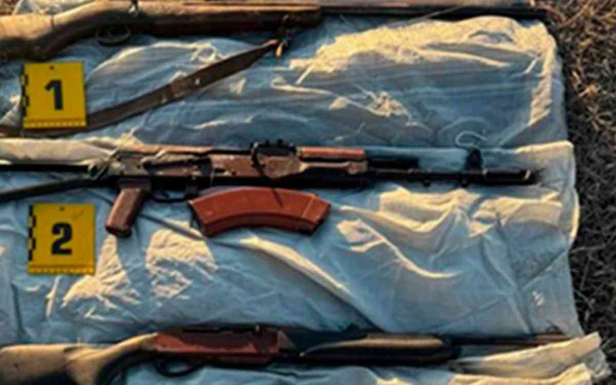 "Заңсыз айналым": Биыл елімізде 118 қару мен 15 граната тәркіленген