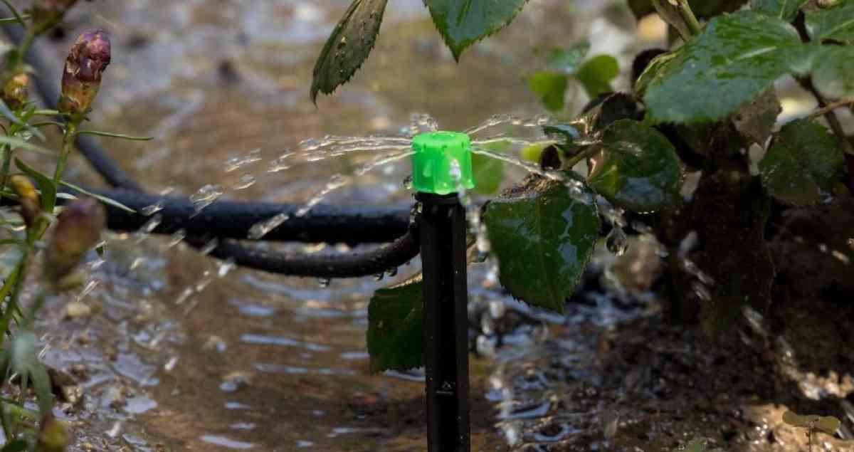 Елдегі мемлекеттік қолдау шараларының арқасында су үнемдеу технологияларын енгізу қарқыны бес есе жеделдеді