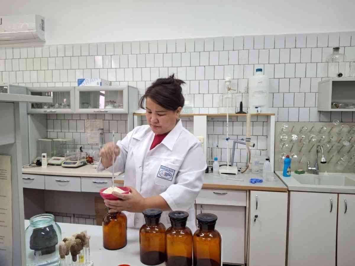 Ғалымдар мал шаруашылығындағы шығындарды азайту үшін жаңа буын құрама жемдерін әзірлеуде