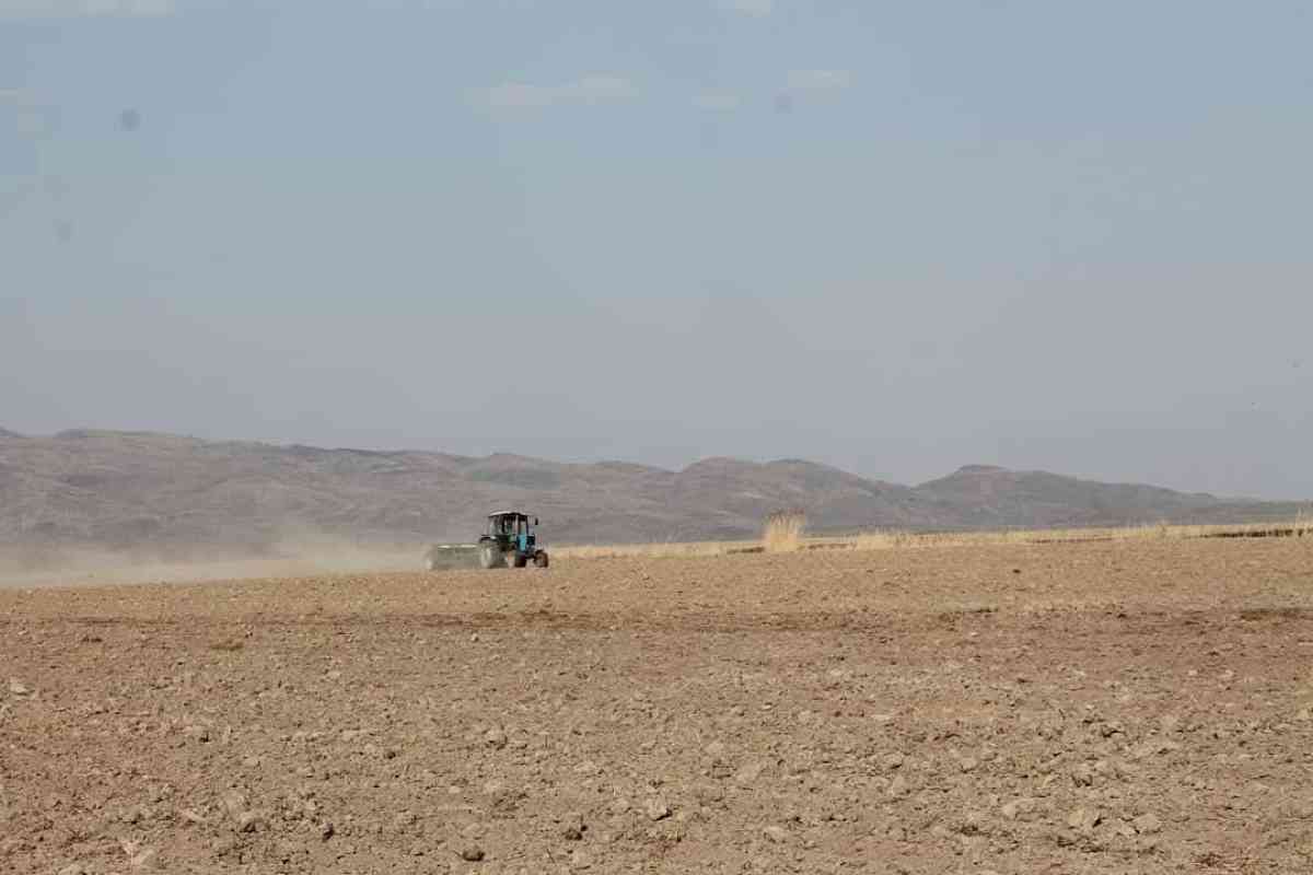 Жамбылда көктемгі дала жұмыстары қарқын алды