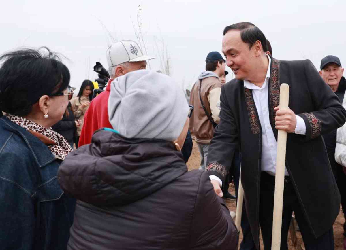 Таразда «Таза Қазақстан» аясында 10 мың түп ағаш отырғызылды