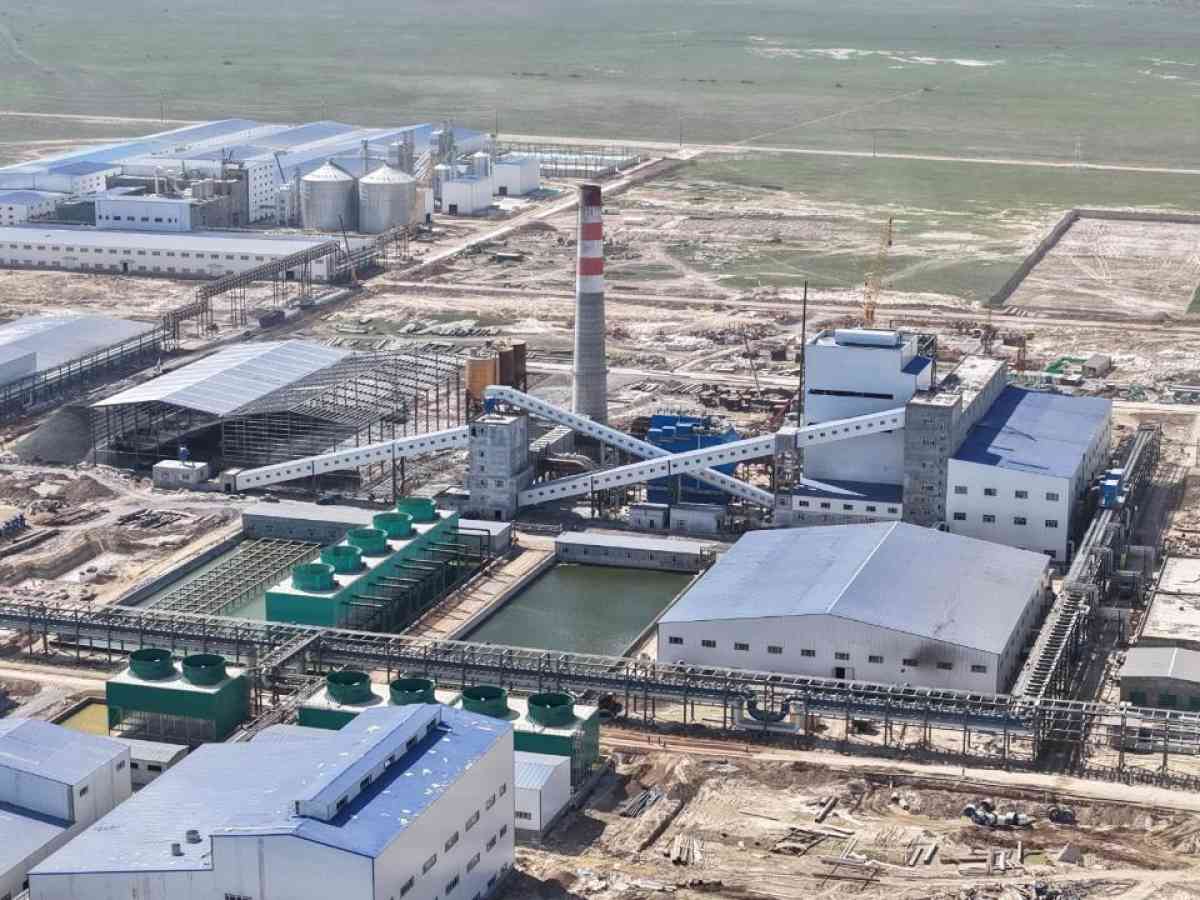 Жамбылда жылына 3 млн тонна жүгері өңдейтін жаңа өндіріс іске қосылады