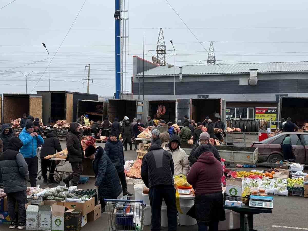 Елде қой етінің бағасы қымбаттады