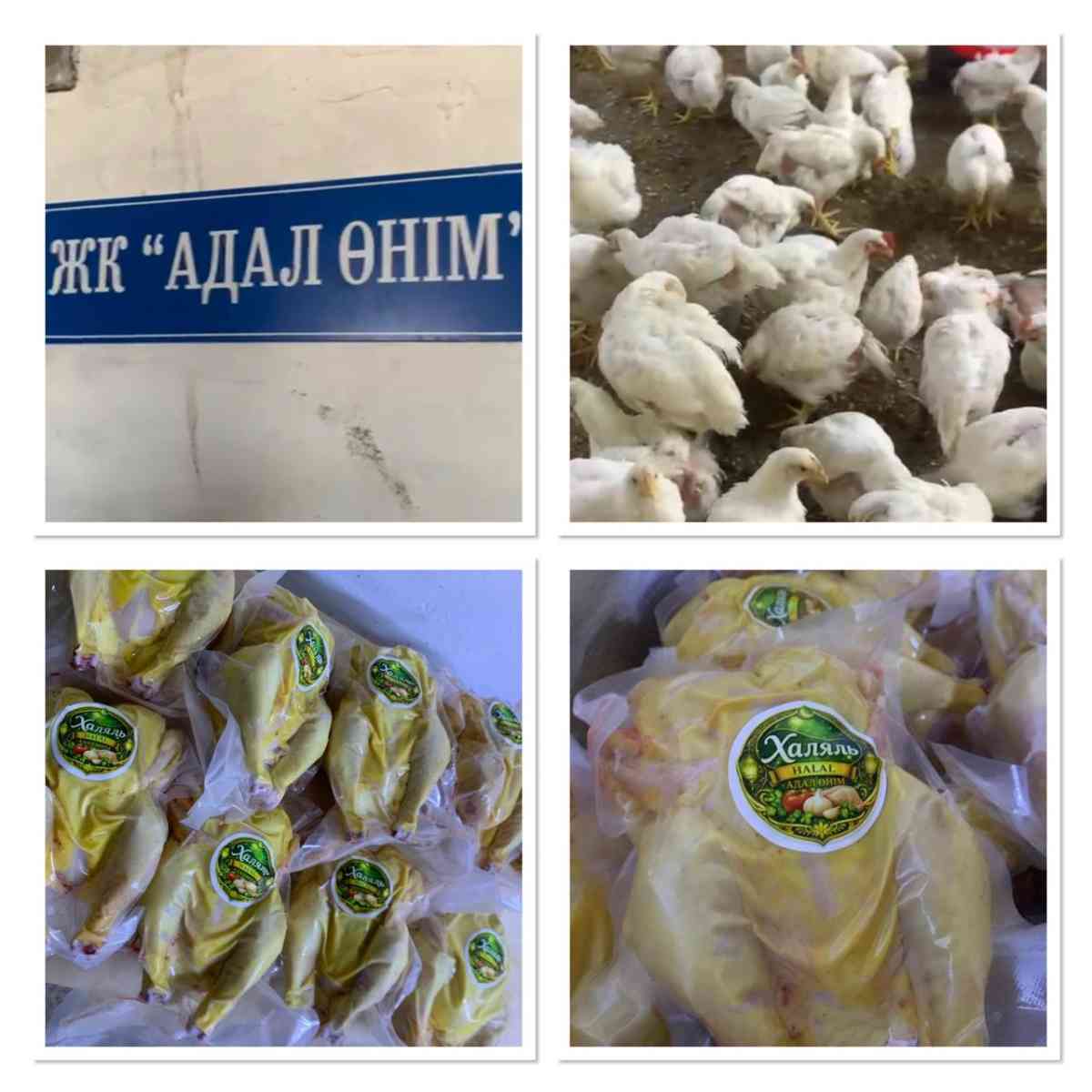 Тараздағы түзеу мекемесінде сотталғандар жұмыспен қамтылып жатыр