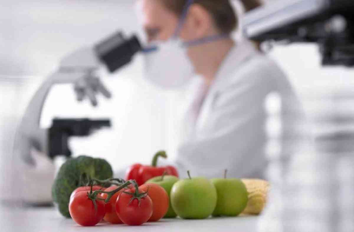 Былтыр фитосанитарлық инспекторлар 3,6 мың бұзушылықты анықтады