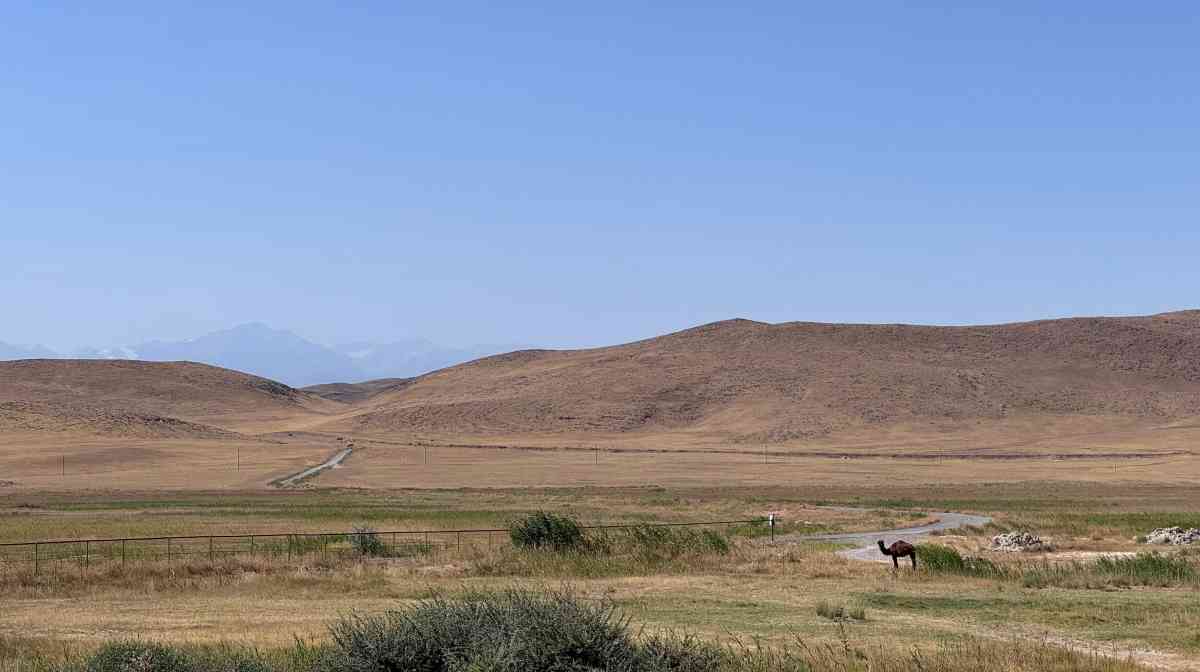 Оңтүстік өңірлерде ауа райы +28°С-қа дейін ысиды