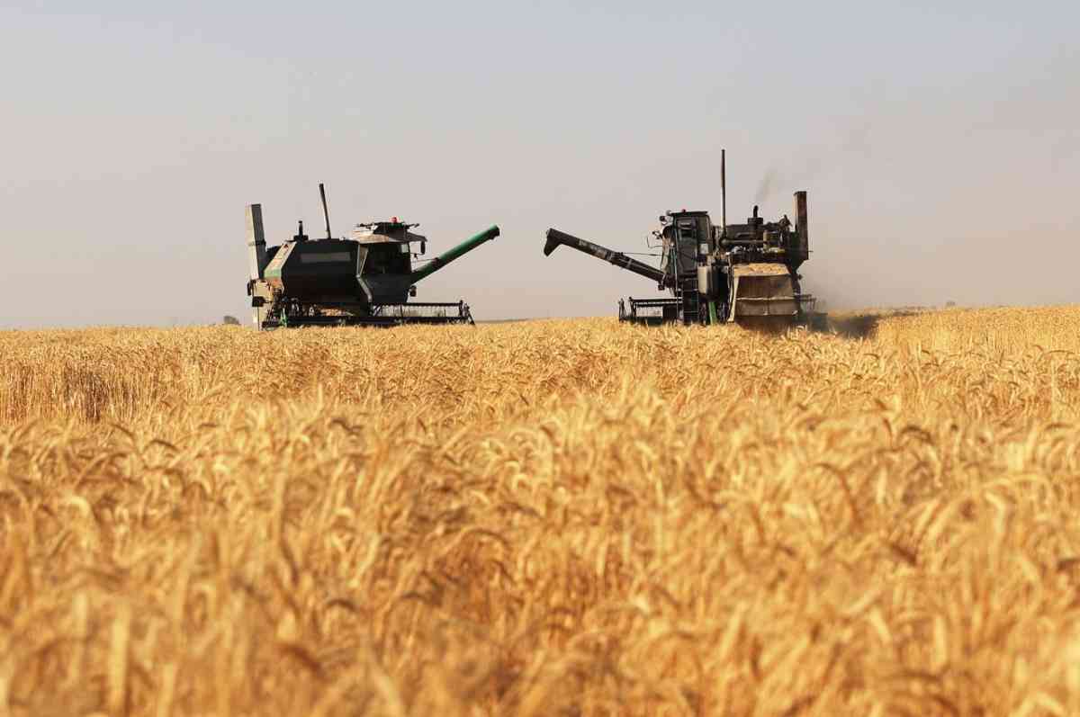 Ақмола облысында астықты терең өңдеу зауыты салынады