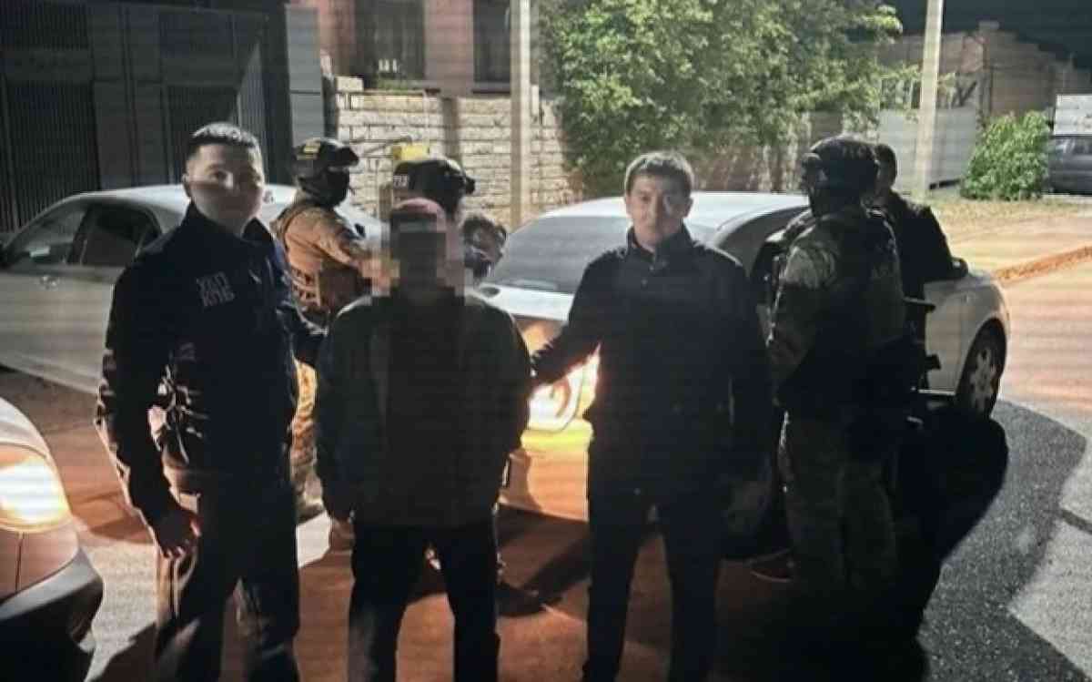 Жамбылда 39 жылқы ұрлағандар ұсталды