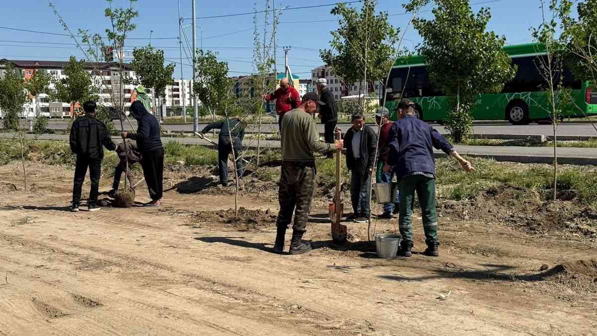 Таразда "Таза Қазақстан" акциясы аясында тал көшеттері отырғызылды