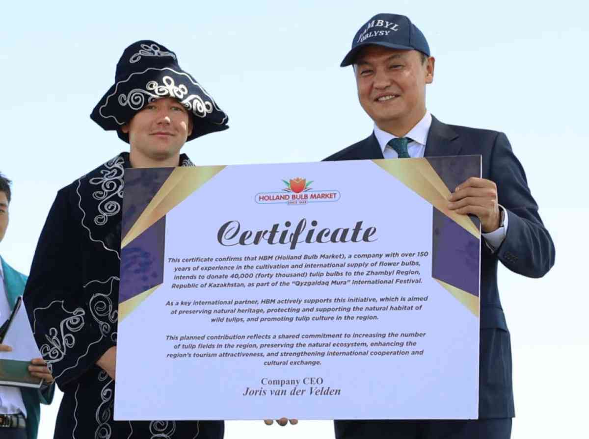 «Қызғалдақ мұра» фестивалі: Нидерландықтар Жамбылға 40 мың түп қызғалдақ тарту етті