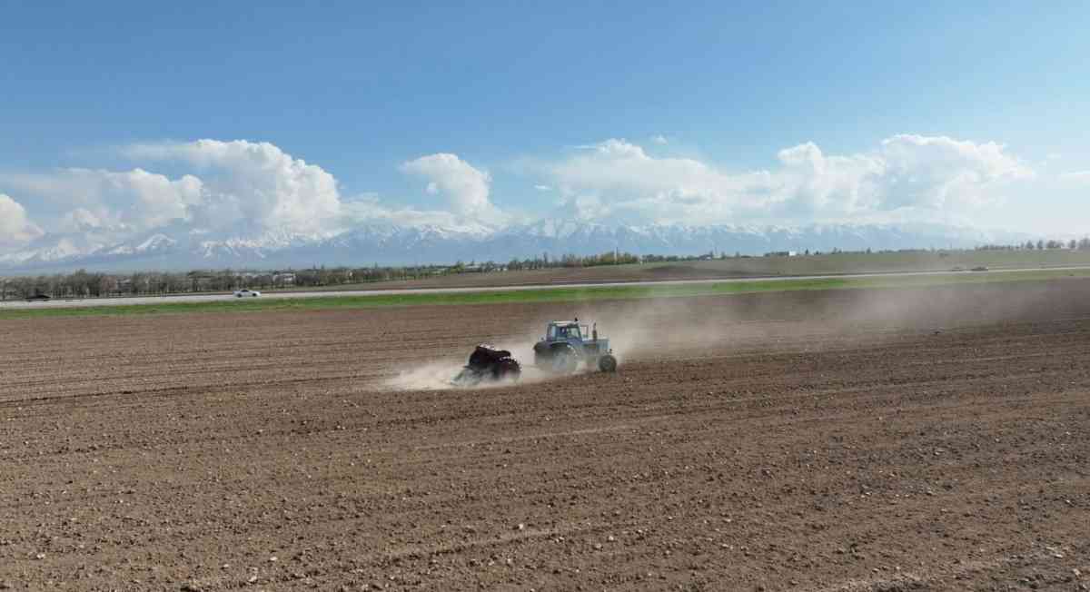 Жуалыда көктемгі дала жұмыстары қалай жүріп жатыр