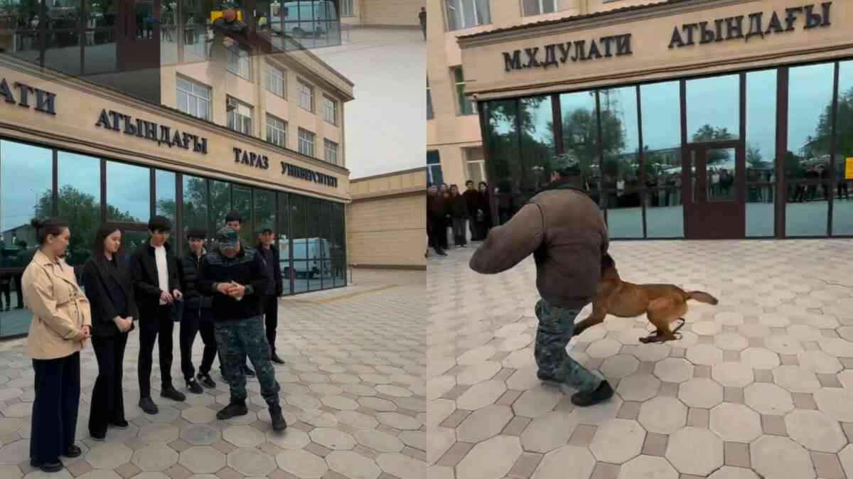 Таразда 300-ден астам студенттің қатысуымен нашақорлыққа қарсы акция өтті