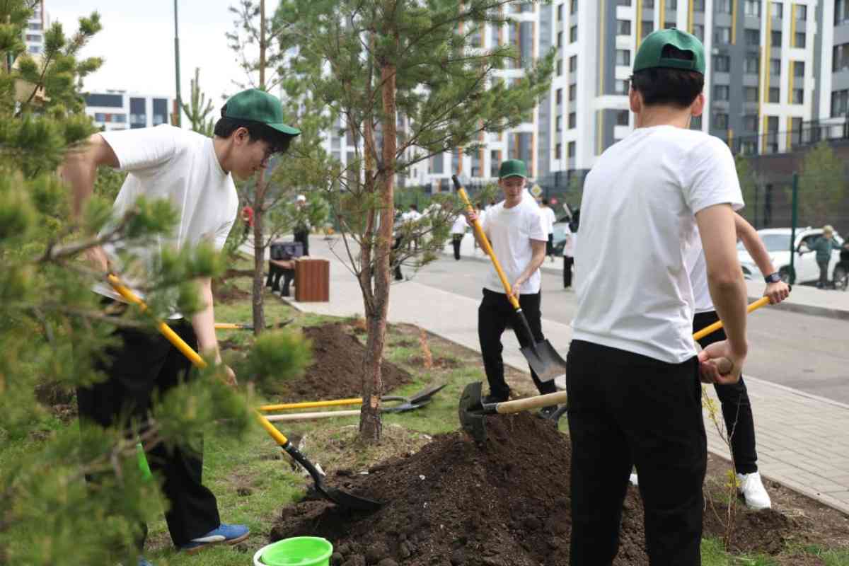 100 мыңнан астам мектеп түлегі елімізді көгалдандыруға атсалысты