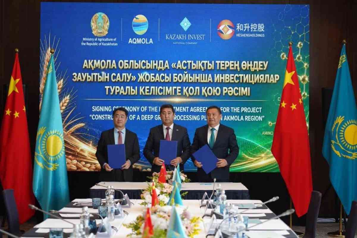 Қазақстанда жылына 1 млн тонна бидай өңдейтін жаңа зауыт іске қосылмақ